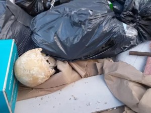 Encontraron restos óseos en Playa Grande y activaron una investigación