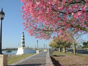 Clima: viernes caluroso y con cielo despejado en la ciudad de Santa Fe