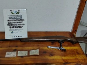 Faenaron un guanaco en el Parque Nacional Nahuel Huapi y deberán pagar $6 millones