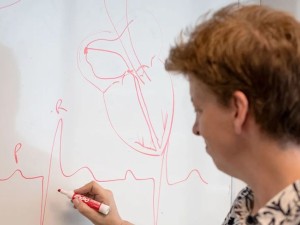 Un hallazgo del CONICET podría cambiar el diagnóstico y tratamiento de enfermedades cardíacas