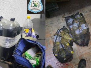 Robos a comercios en Santa Fe: dos detenidos y mercadería recuperada en operativos policiales