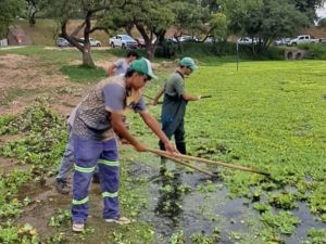 Parque del Sur: se intensifican los operativos de limpieza y el mantenimiento del lago