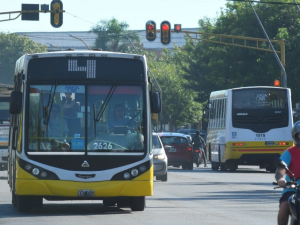 Festival de Guadalupe en Santa Fe: piden colectivos gratuitos y extensión de horarios