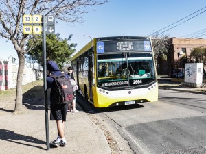 Ingresaron a robar a la parada de la línea 8: se llevaron electrodomésticos y saquitos de té