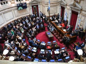 Lo aprobó el Senado: Bajó la edad de la imputabilidad en la Argentina