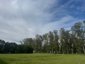 Sábado de calor: ¿cómo sigue el tiempo el fin de semana largo?