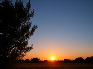Jornada calurosa: Mirá el pronóstico del tiempo para los próximos días