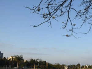 Pronóstico: Jueves a pleno sol y con temperatura en ascenso