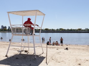 Santa Fe: recomendaciones por presencia de palometas y prevención de golpes de calor