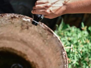 Baja la presencia del vector del dengue en los barrios de la ciudad