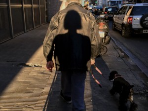 La muestra “Secretos a la vista de todos” se inaugura en el Centro Experimental del Color